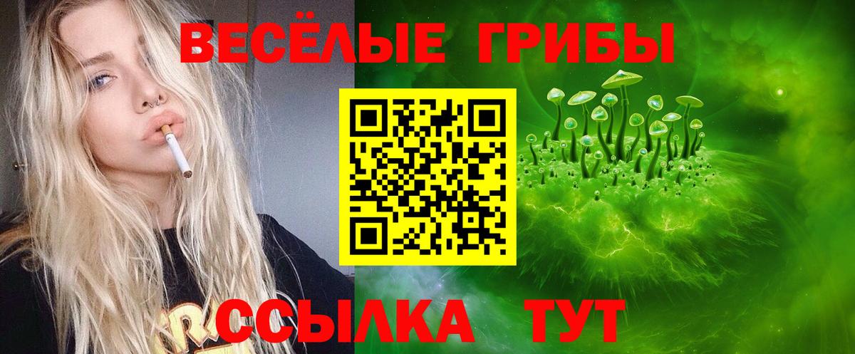 Галлюциногенные грибы GOLDEN TEACHER  Вход с VPN  Усолье-Сибирское 